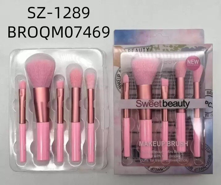 SET DE BROCHA 5PCS SZ-1289-480